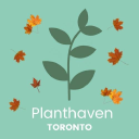 Plant Haven Toronto discount code